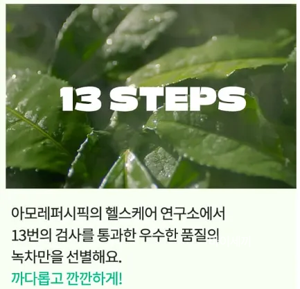 카테킨 효능