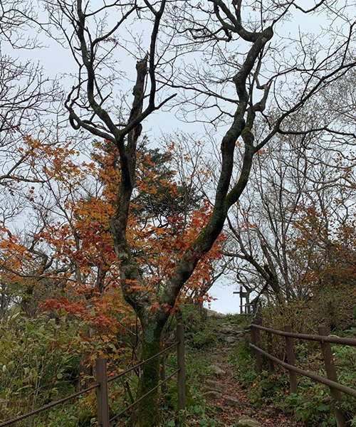 천동계곡01