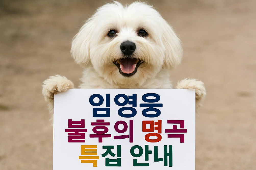 🎤 임영웅 불후의 명곡 단독 특집 안내
