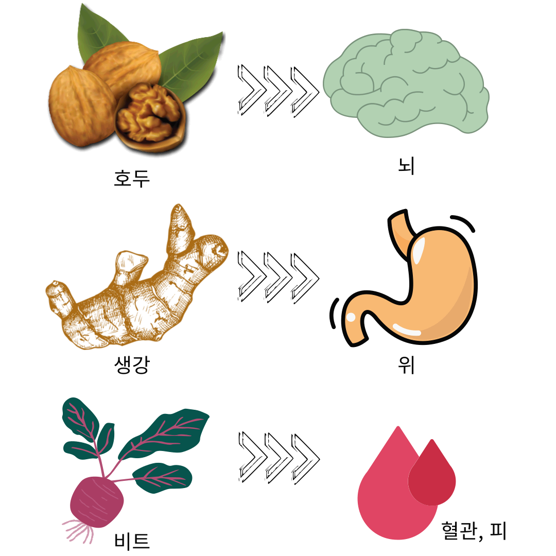 비트 효능과 먹는 방법