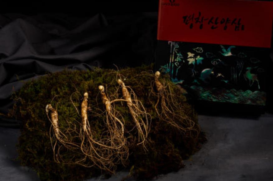 6시내고향 평창 산양삼 썸네일