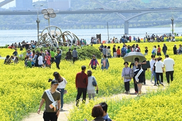 2024 구리 유채꽃 축제 기본일정과 프로그램 소개 민경훈 김나희 울랄라세션 류지광 김연자 황민우 KCM 바다 출연