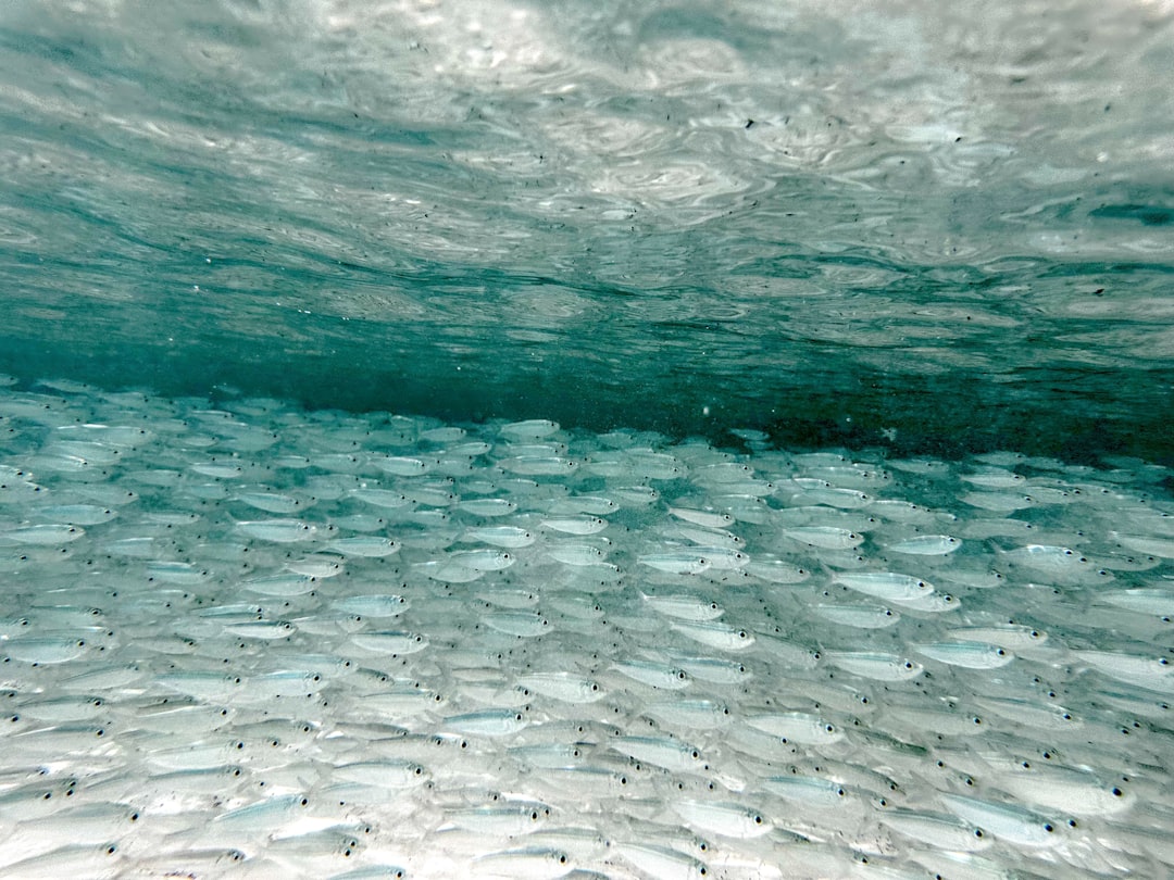 substrate