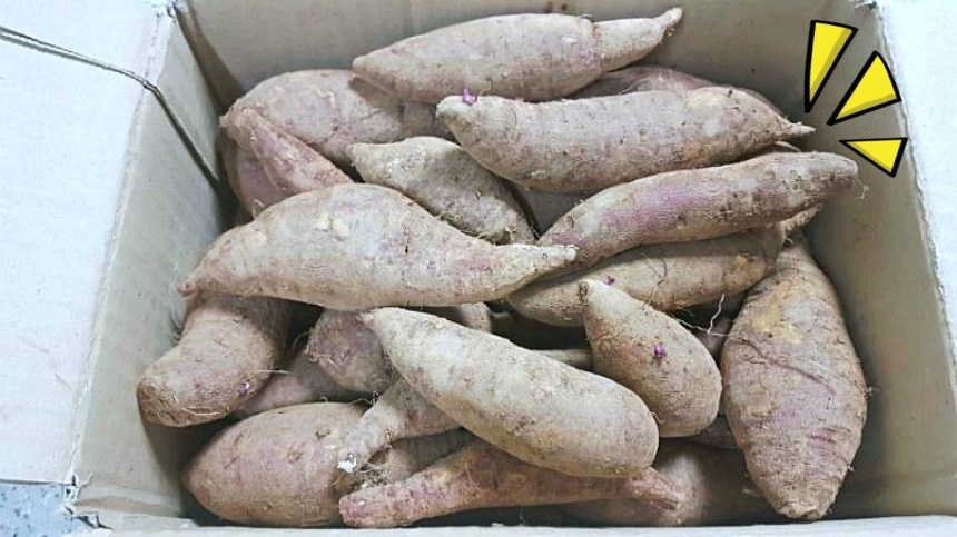 고구마-먹을때-꿀팁