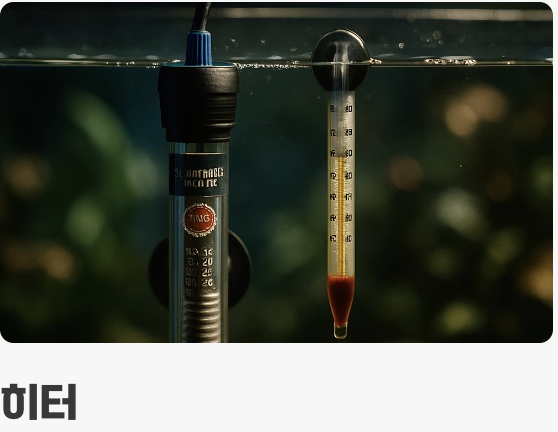 최소한의 장비로 시작하는 즐거움