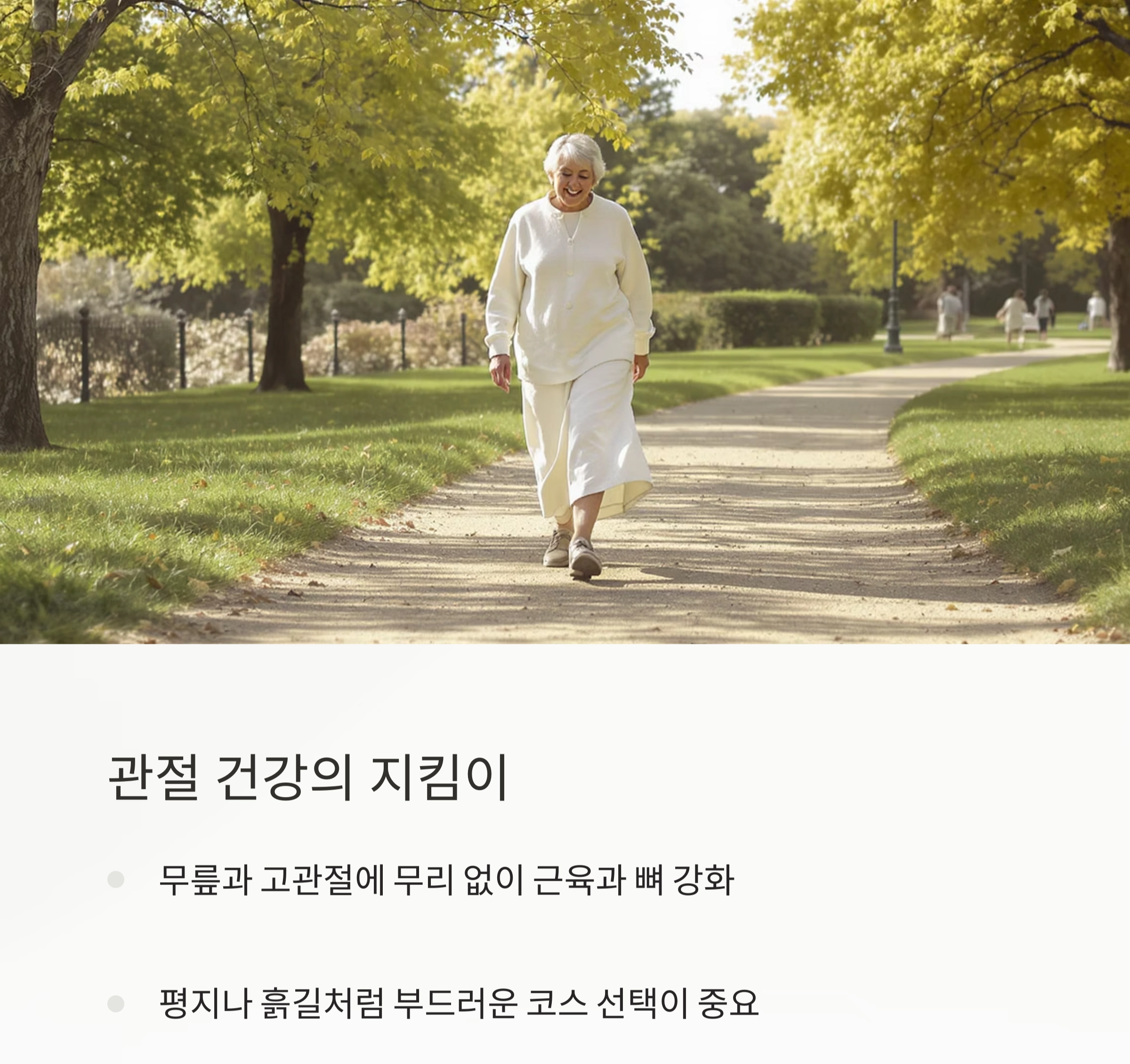 나이 들어도 활기차게! 시니어 걷기 운동의 놀라운 효과