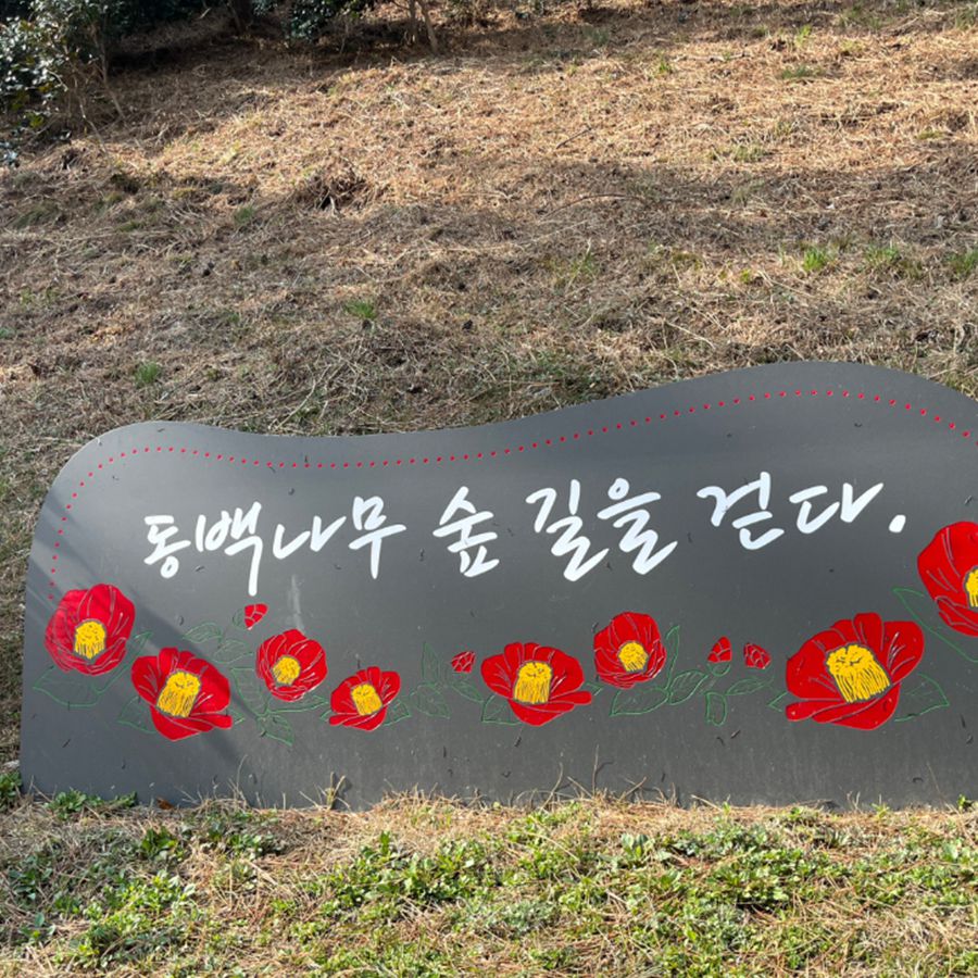 마량리동백나무숲