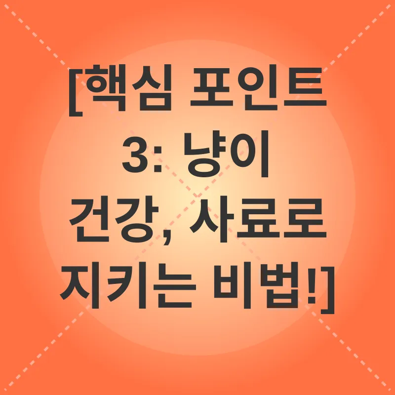 고양이 사료량_3