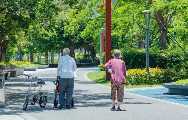 노부부 산책