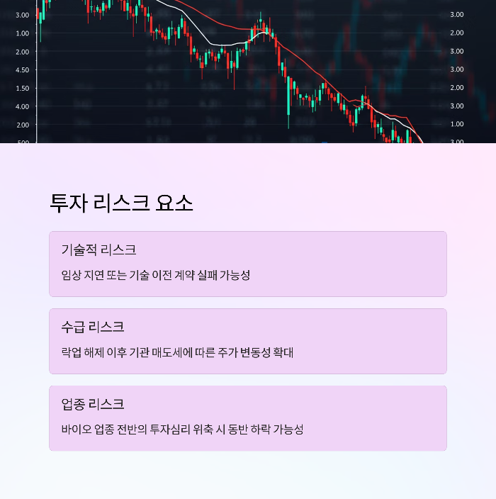 뉴로핏 공모주 전망