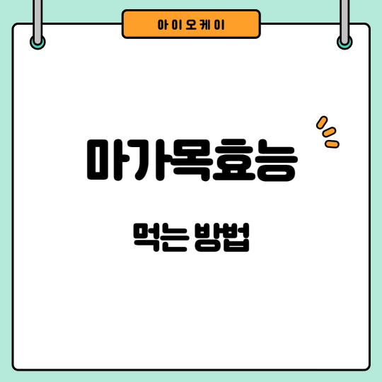 마가목-먹는-방법