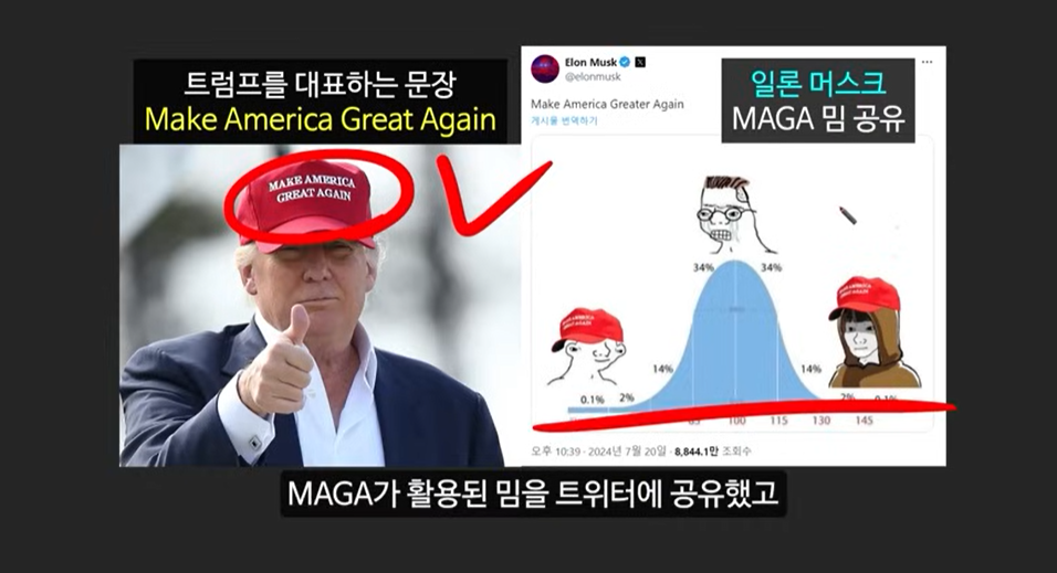 일론 머스크가 주목한 베이비 도지 코인, 급등 가능성은?