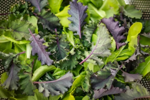 요산 수치 높다면 필독! 통풍 발작 예방을 위한 봄철 금기 음식과 안전한 대체 식단