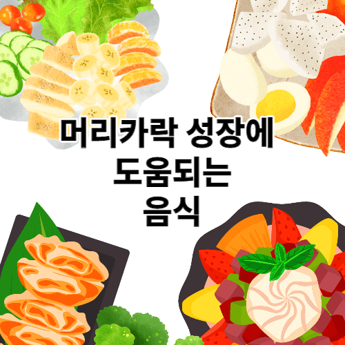 모발에 좋은 음식은 뭐가 있을까?