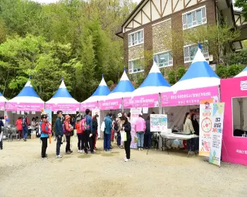 비슬산 참꽃축제_17