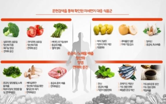 문헌검색을 통해 확인된 미세먼지 대응 식품군