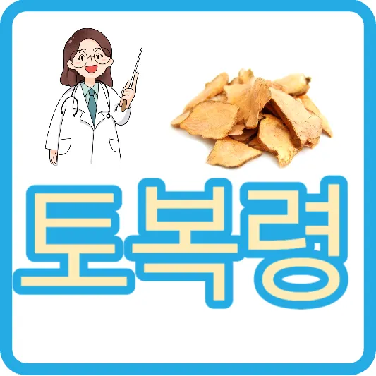 토복령 효능 부작용 토복령차 섭취방법 토복령 가격