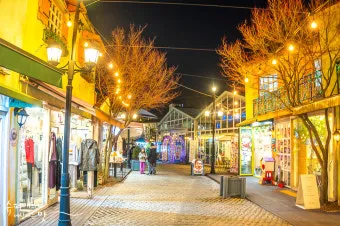 프로방스 비밀 정원 올리브 오일 허브 전통 요리 체험_2