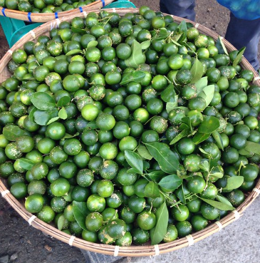 calamansi