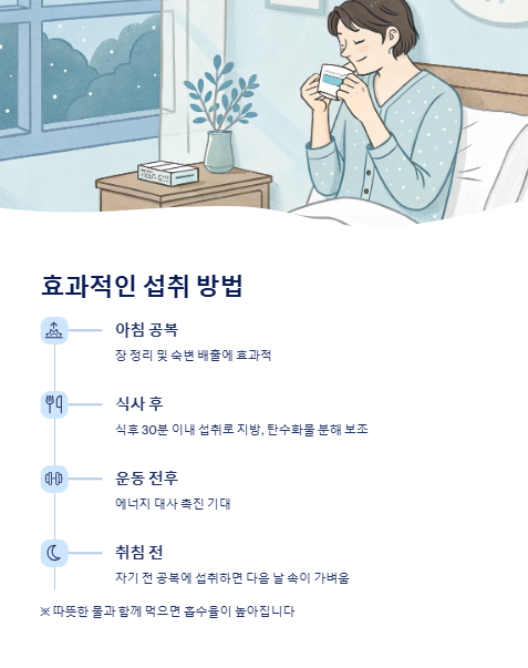 효과적인 섭취 방법