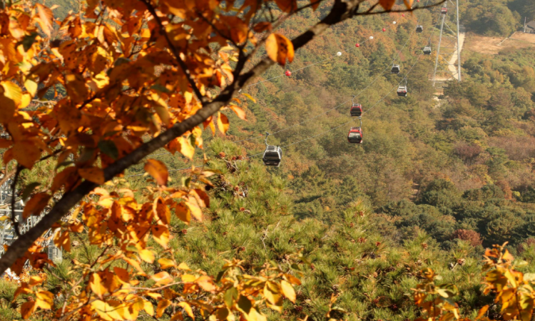 삼악산 케이블카