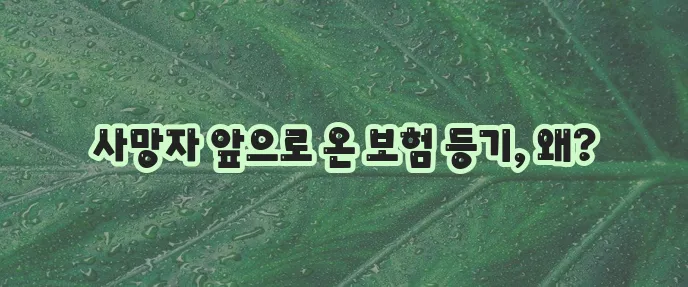 고인 앞으로 온 DB손해보험 등기의 의문 꼭 풀어야 합니다