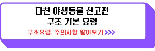 다친 동물 신고 야생동물구조센터