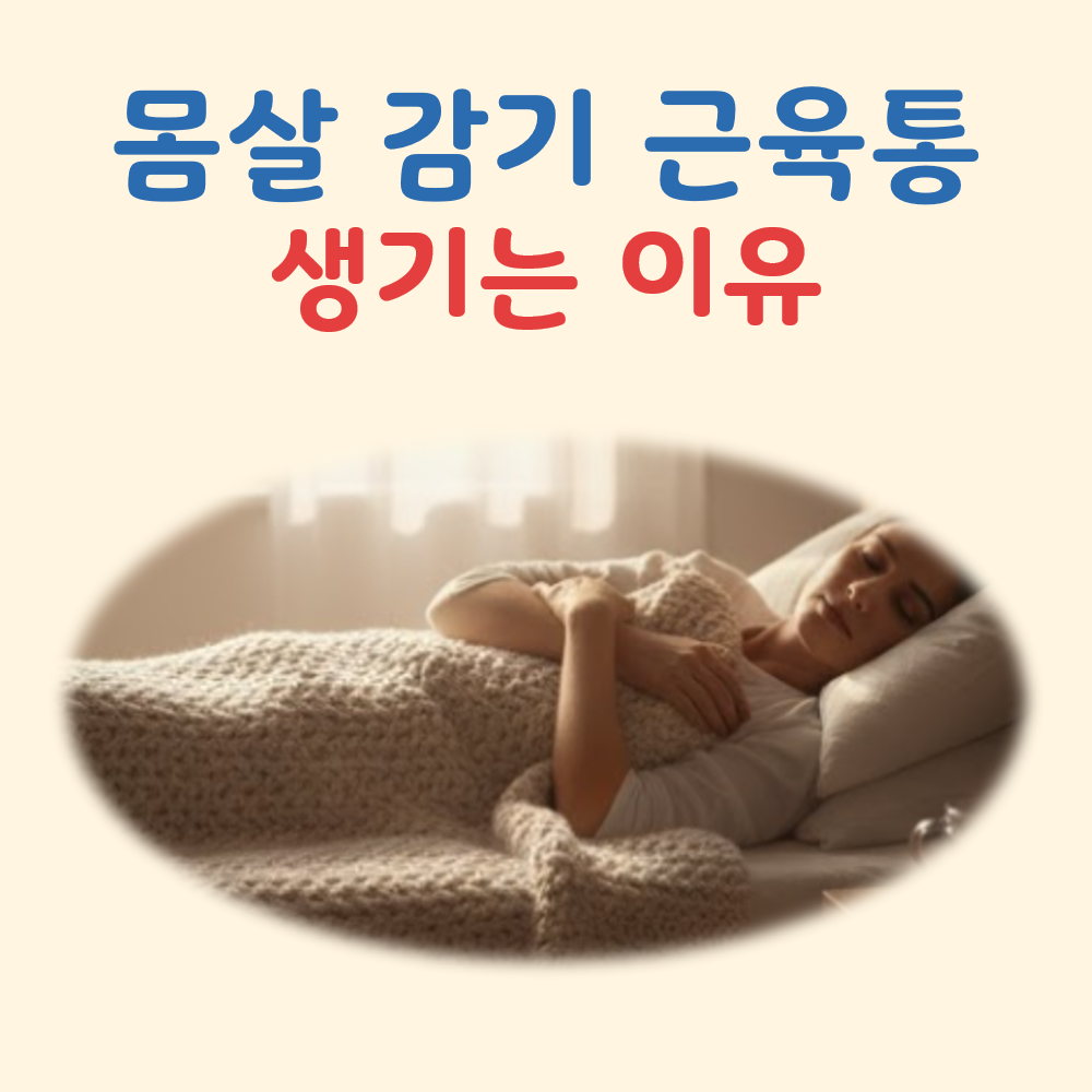 몸살 감기 근육통 대표 이미지