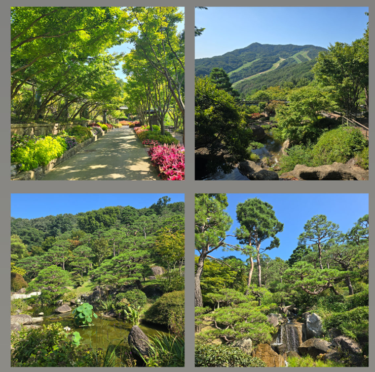 화담숲 예약, 화담숲, 화담숲 홈페이지, 화담숲 온라인 예약, 화담숲 모노레일, 화담숲 프로그램, 화담숲 예약하기, 화담숲 예약 성공
