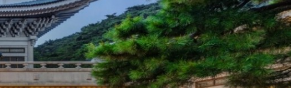 청와대 야간관람신청