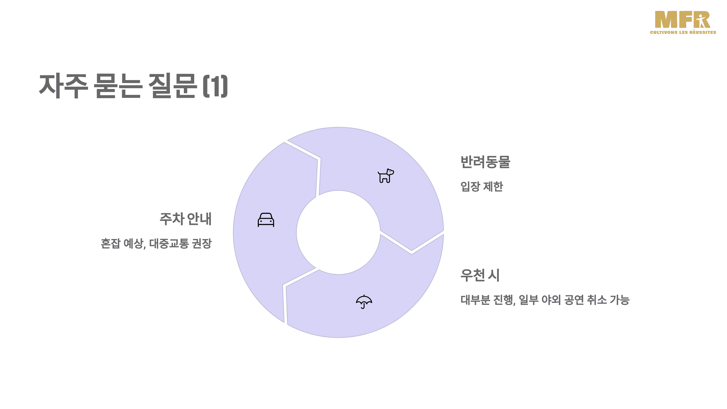 이월드 30주년 기념! 벚꽃 축제에서 만나는 특별한 봄날