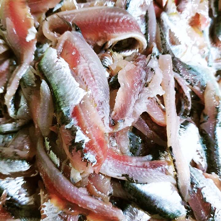 백반기행 조성모 편 생 멸치회 정식 정성가득 계란말이 반찬 경주 맛집 소개