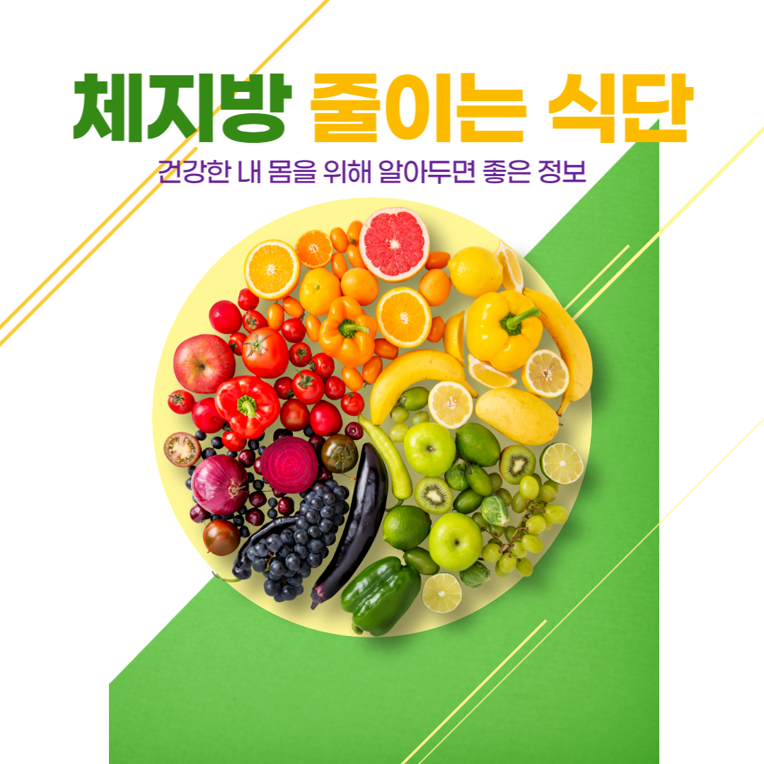 체지방 줄이는 식단 추천