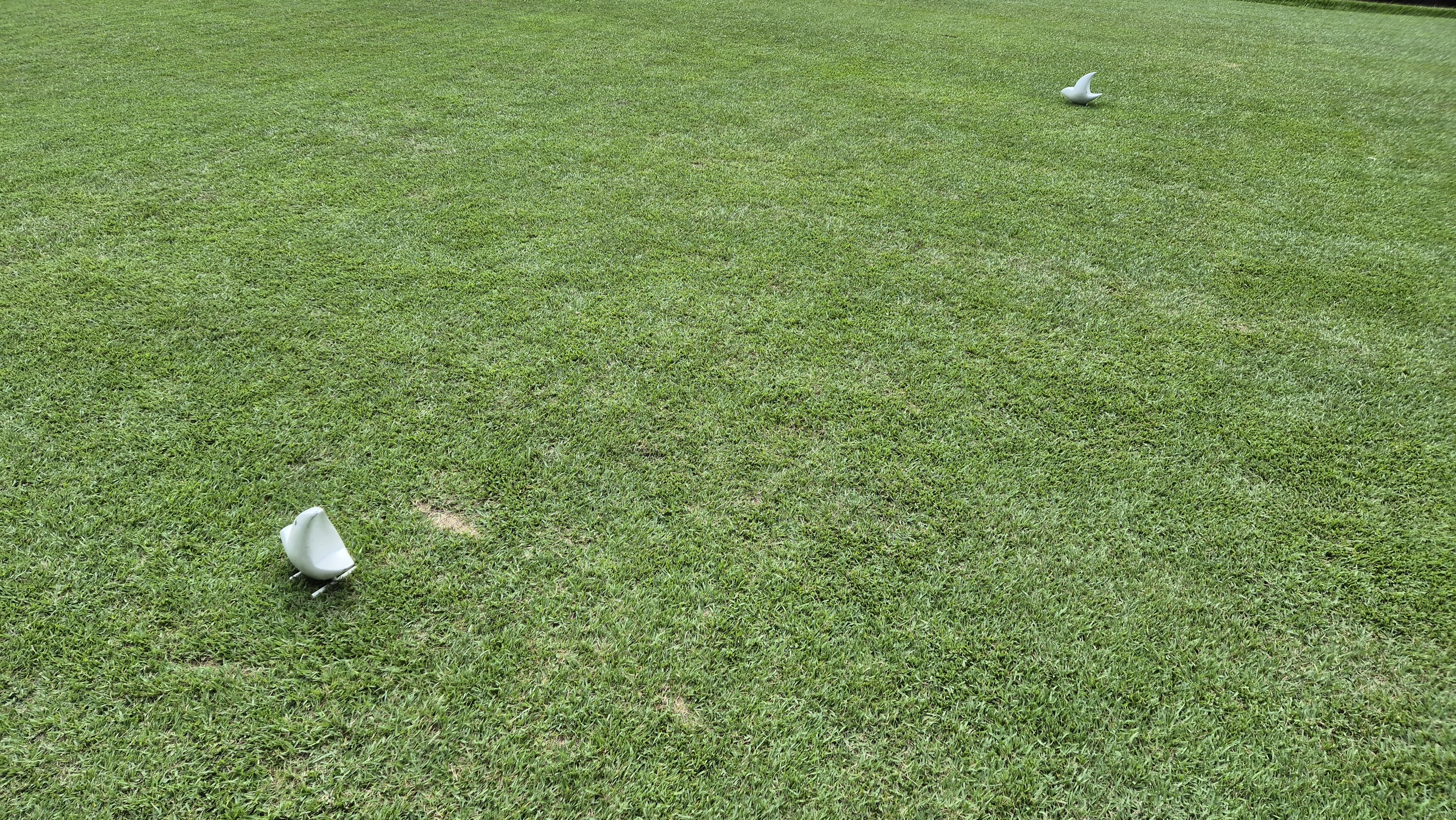 한성cc 오렌지-그린 코스 라운드 후기