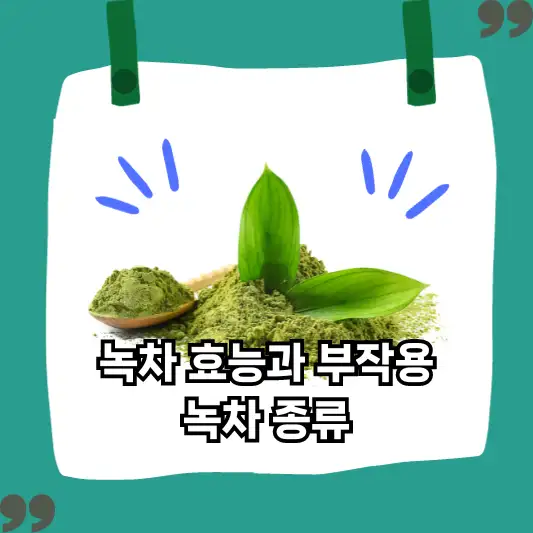 녹차