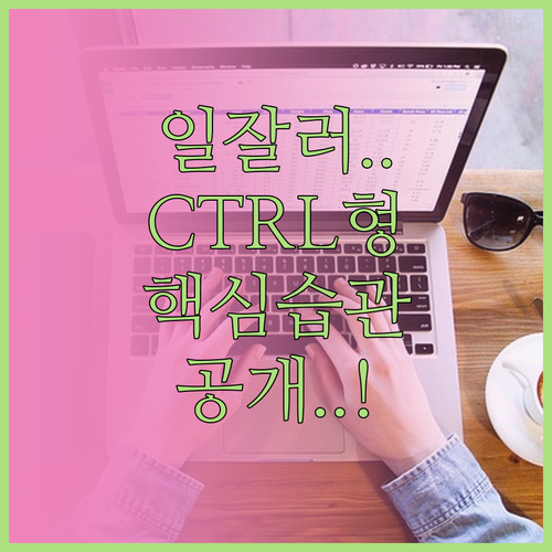 체계적인 일처리를 위한 CTRL 유형..