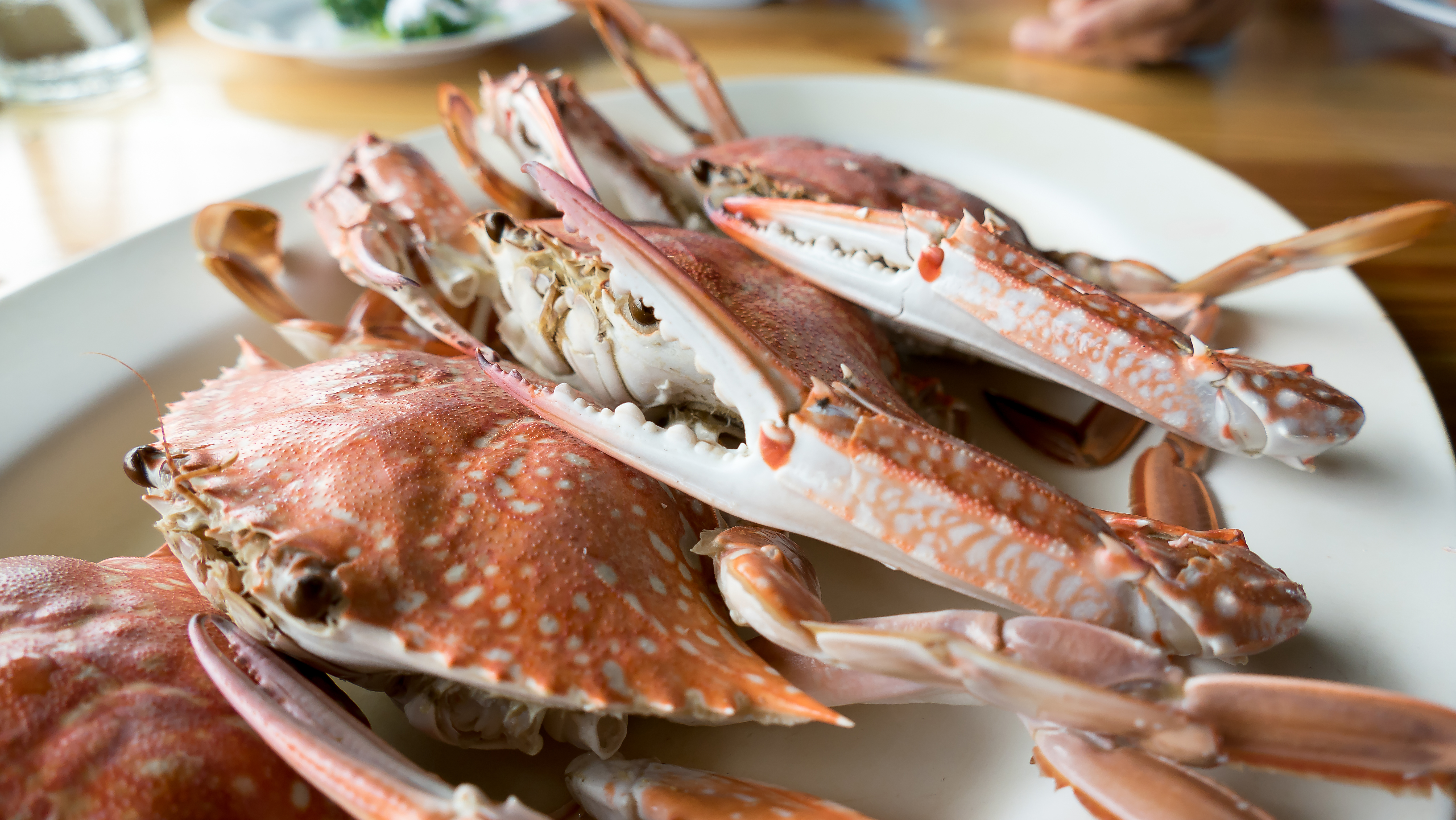 9월 제철음식 완벽 정리