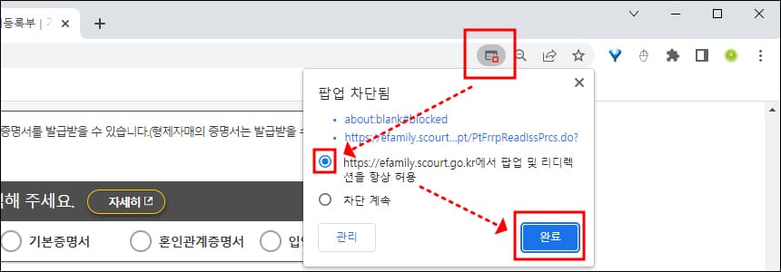 팝업 차단시
