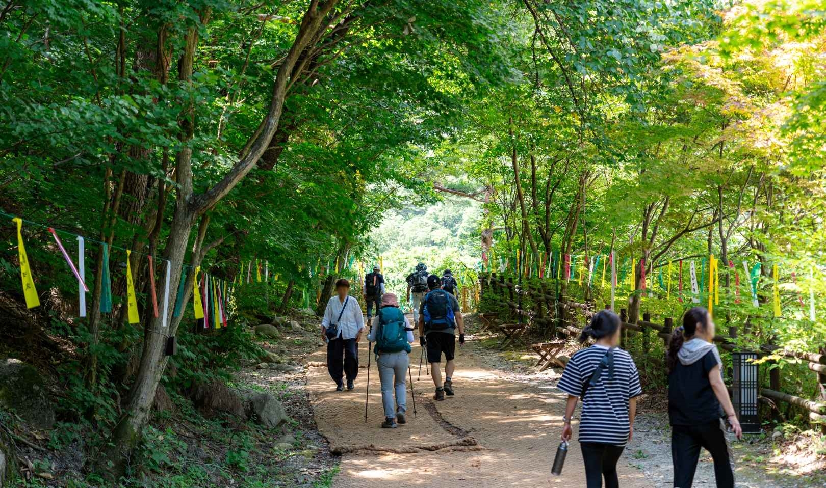 무릉계곡 산책로