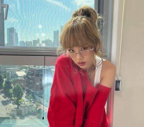 비비 리스펙 페스티벌