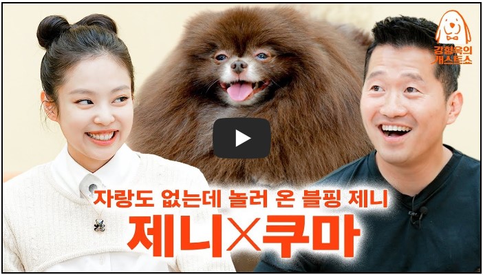 반려동물 유튜버 TOP 10 4