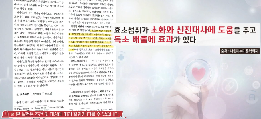 효소 효능