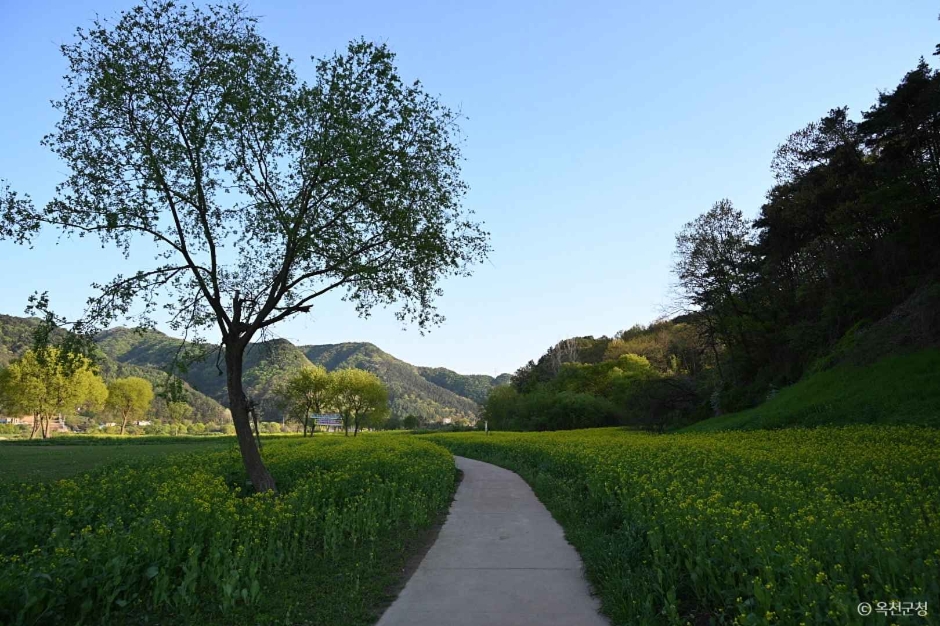 옥천금강수변 친수공원