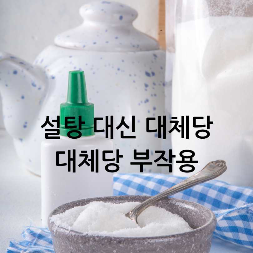 설탕 대신 대체당