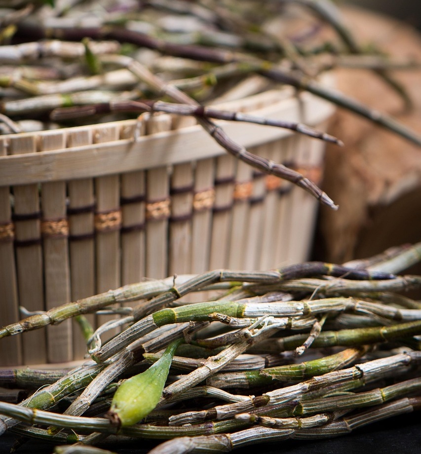 산초 산초나무 열매 산초 효능