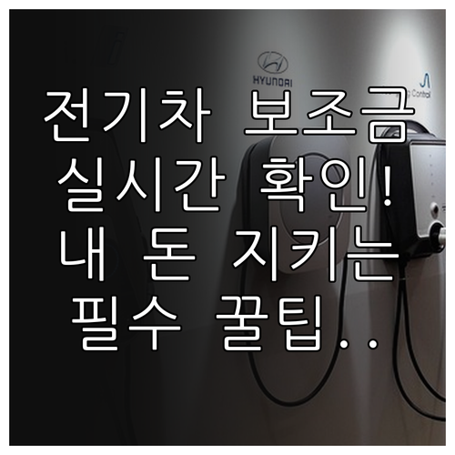 무공해차 통합누리집 활용 전기차 보조..