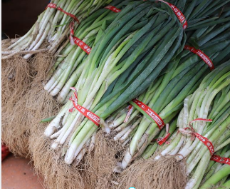 대파 보관하는 방법