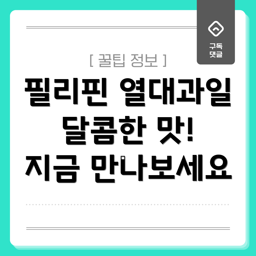 필리핀 열대과일