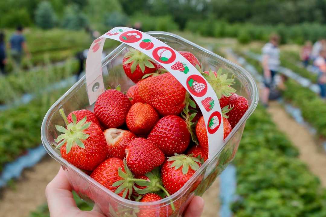 Strawberry.