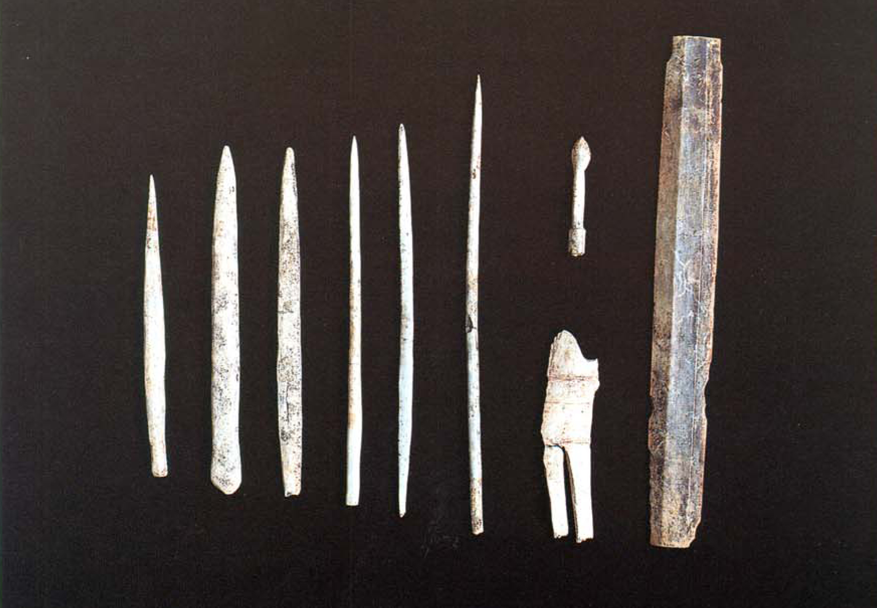 동삼동 패총 전시관